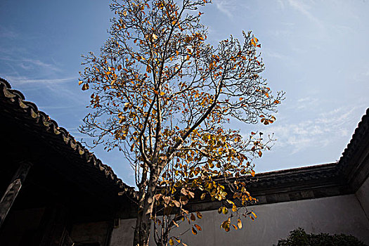 柳亚子纪念馆