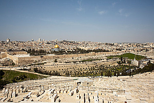 全景,老,新,耶路撒冷,犹太,墓地,攀升,橄榄