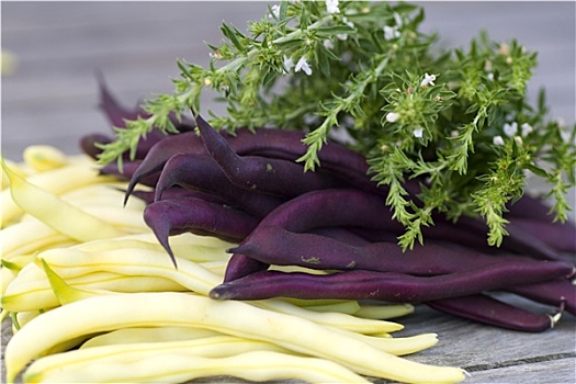 紫色,黄色,豆,开胃菜