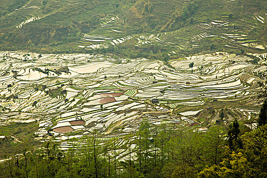 元阳梯田