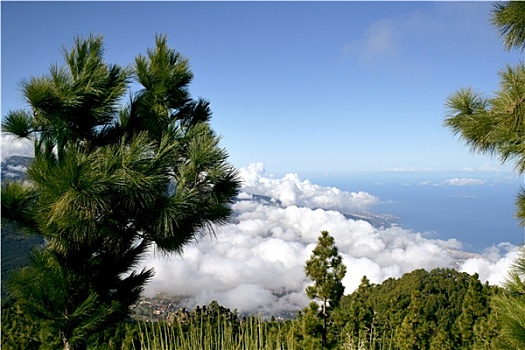 自然,风景,特内里费岛,西班牙