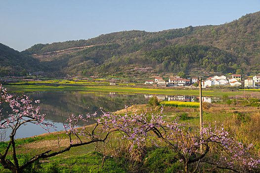 湖北大冶沼山森林公园春季风光