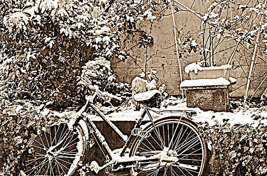 法国,巴黎,积雪,自行车