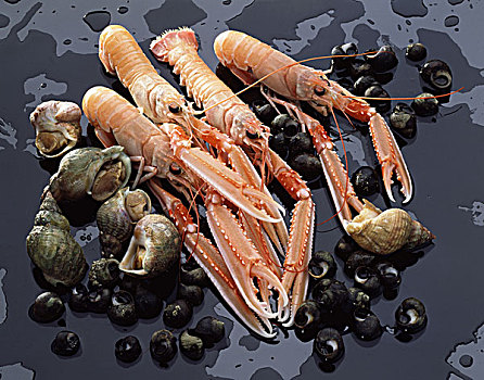 展示,海螯虾,对虾,滨螺