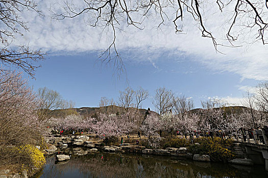 北京植物园