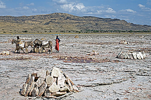 苏打,湖,驴,马萨伊人,运输,盐,岸边,坦桑尼亚,非洲