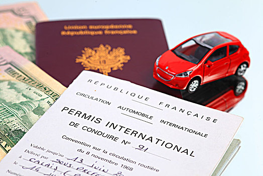 法国,国际,驾驶,牌照