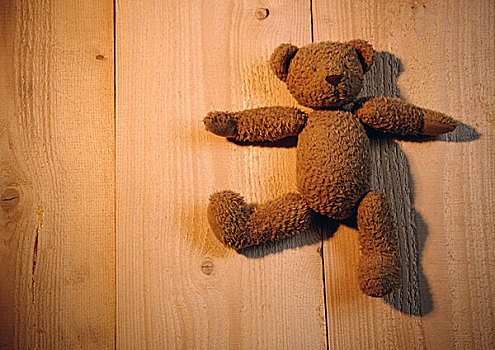 泰迪熊,厚木板
