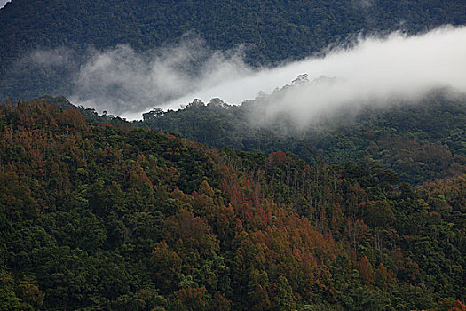 五指山风光