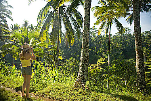 游客,稻米梯田,靠近,乌布,巴厘岛,印度尼西亚,亚洲