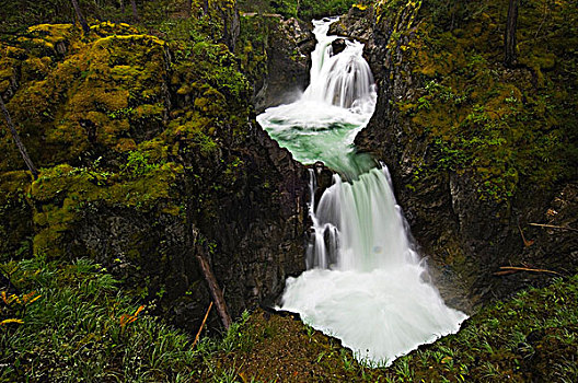 瀑布,小,河,省立公园,不列颠哥伦比亚省,加拿大