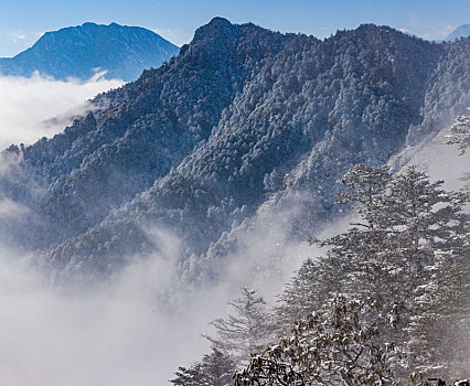 西岭雪山大雪的美丽风景