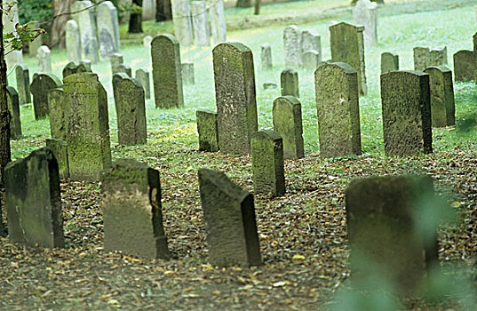 犹太,墓地,汉堡市
