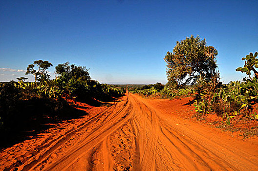 泥土,道路,南方,马达加斯加,非洲,印度洋