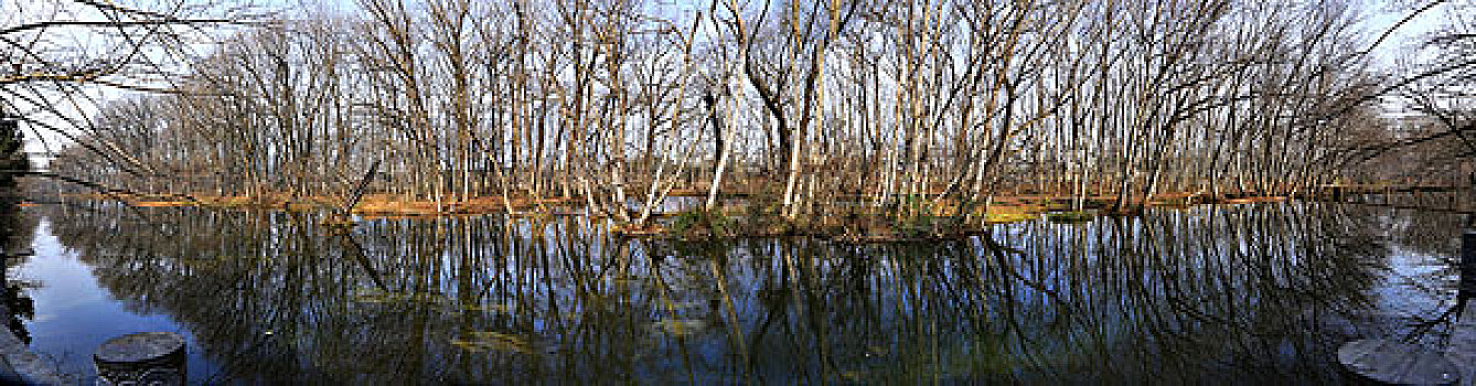 安徽,西溪南,老屋阁,小树林,水坝,黄牛,村庄,阳光,树林,倒影