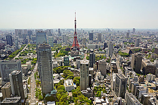航拍,东京塔,城市,天空,晴天,东京,日本