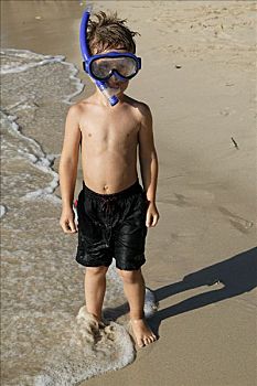 男孩,肖像,海滩,戴着,潜水,设备