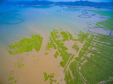 象山港,西沪港,高速公路,交通,海涂,滩涂,蓝色,航拍