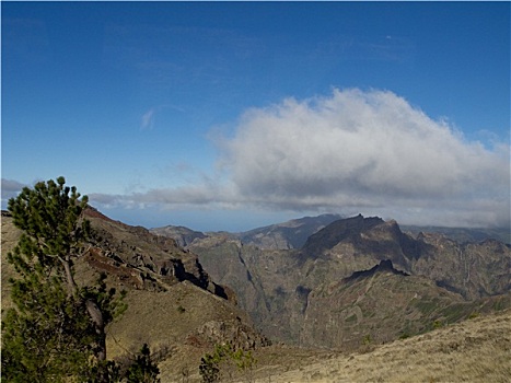 山,马德拉岛