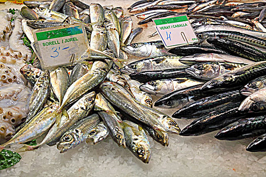 清新,鲭鱼,市场货摊,巴塞罗那,西班牙