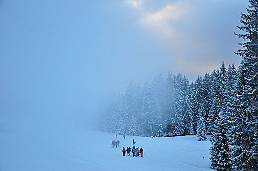 雪,滑雪,区域,加米施帕藤基兴,陆地,巴伐利亚,德国