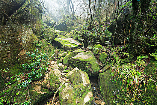 醉美三清山