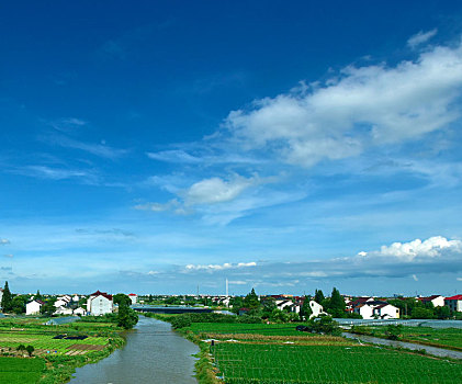 乡村田野