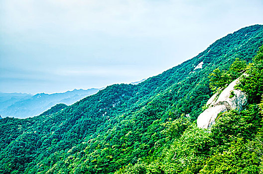 被绿色植被覆盖的大山