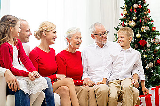 家庭,休假,圣诞节,人,概念,微笑,坐,沙发,在家