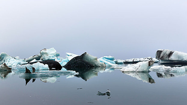 冰山,雾,冰河,泻湖,杰古沙龙湖,结冰,湖,南方,边缘,瓦特纳冰川,东南部,冰岛,欧洲