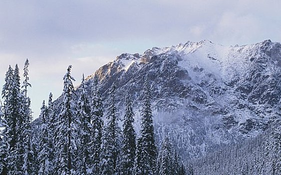 北瀑布国家公园,正面,山,华盛顿,美国