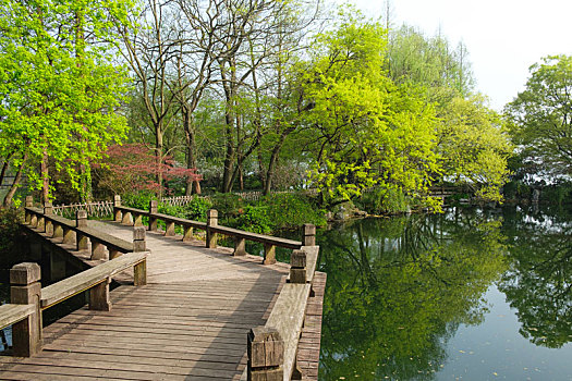 杭州西湖,春天