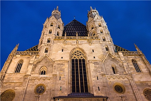 建筑,大教堂,夜晚,维也纳