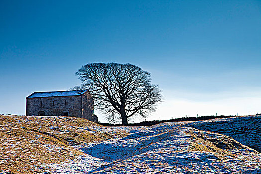 小屋,雪景,约克郡谷地,英格兰