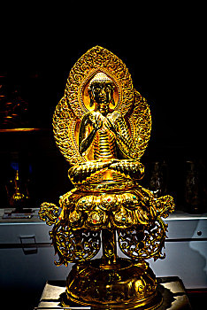灯光下的释迦牟尼佛像