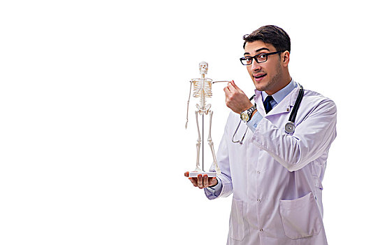 男医生,骨骼,隔绝,白色背景,男青年,博士