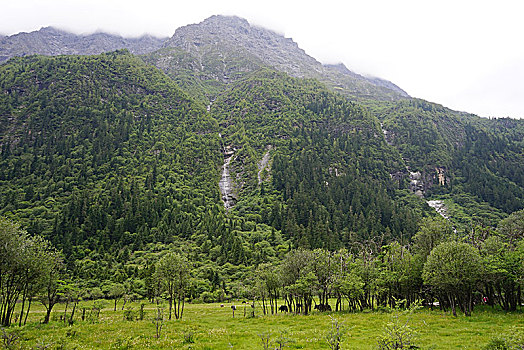 四川阿坝州四姑娘山