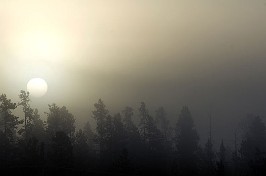 日出,雾