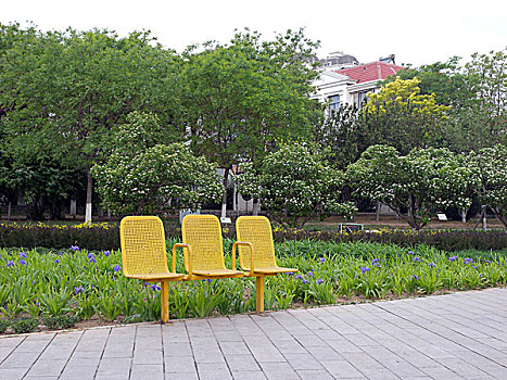 公园,绿地,座椅,干净,安静