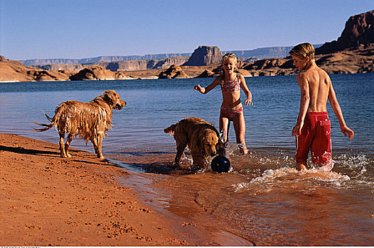 男孩,女孩,泳衣,海滩,狗,鲍威尔湖,亚利桑那,美国