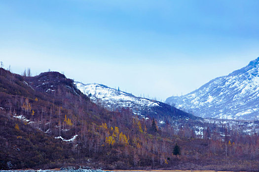 美国,阿拉斯加州,冰川湾国家公园,冰原草原