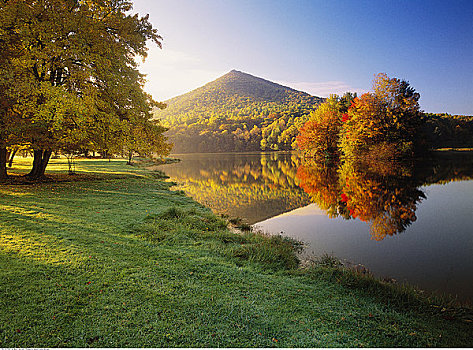 秋天,树,蓝脊公园大道,顶峰,水獭,弗吉尼亚