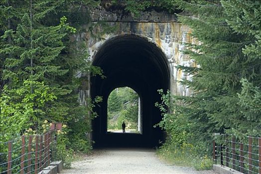 隧道,轨道,小路,国家森林,爱达荷,美国