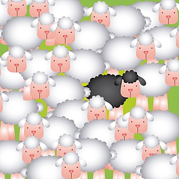 羊群,设计,矢量,插画