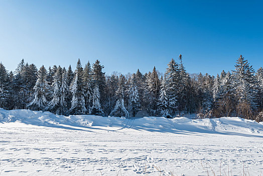 冬季长白山的雪地和雾凇