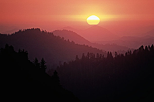 美国,加利福尼亚,红杉国家公园,风景,日落