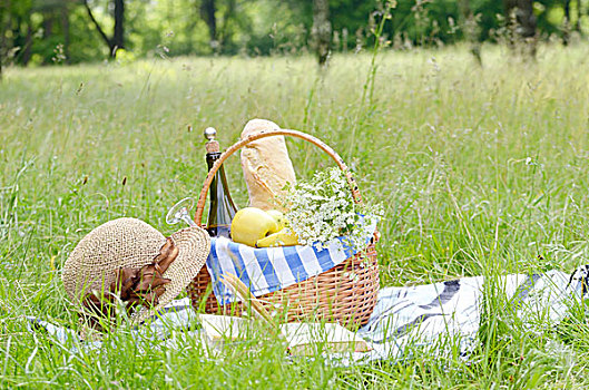 野餐篮,水果,葡萄酒,面包,草地,书本,帽子
