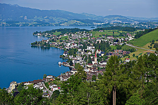 风景,乡村,琉森湖,瑞士,欧洲