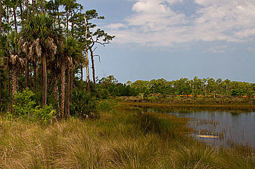 大沼泽地国家公园,佛罗里达