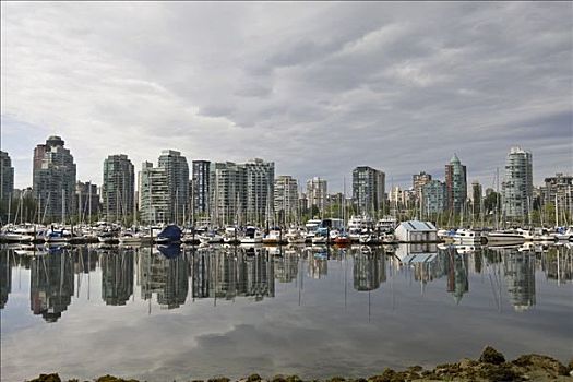 码头,珊瑚,港口,天际线,温哥华,不列颠哥伦比亚省,加拿大,北美